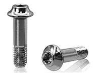 64 Titanium Servo Saber Screw (MUGEN MSB1 / MRX/2 Pieces) [TP-0-B] (199)