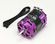 Racing Performer DX2 Type-R Brushless Motor 15.5T (12.5 x 7.25 x 24 mm) Purple Version [RPM-D2155RP]