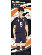 B. Kageyama Tobio Metal Sticker "Haikyu!"