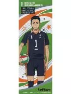 C.澤村大地 メタルステッカー 「ハイキュー!!」