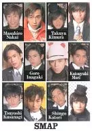 SMAP ステッカー 「SMAP Winter Concert 1995-1996 volume8」