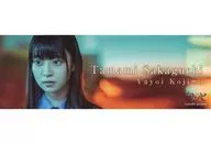 阪口珠美(乃木坂46)/場景圖ver.貼紙