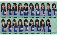 けやき坂46 ステッカー 「欅のキセキ×pontaカード」 特典