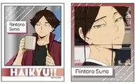 Rintaro TSUMEI (Away illustration & Scene photograph A) "Haikyu! Photo style metal sticker collection"