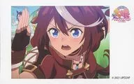 4. Tokai Teio "Uma Musume Pretty Derby Season 2 Trading Instant Film-Style Sticker"