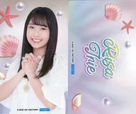 入江里咲(Juice=Juice) コレクションステッカー2枚セット 「モバガチャ Hello! Project オフィシャル オンラインガチャ 2021 Summer ～seashell ver.～」 ノーマル景品