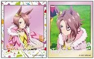Nalitamycin "Uma Musume Pretty Derby Season2 Photo-Style Metal Sticker Collection B"