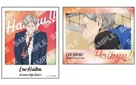 Lev Haiba B "Haikyu! Photo-Style Metal Sticker Collection"