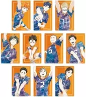 10-type set "Haikyu! Trading Ani-Art 3rd card sticker"