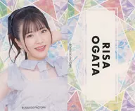 小紙片Lisa系列貼紙2張SET