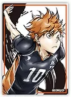 HINATA SHOYO "Haikyu! Trading Holosticker Fierce Battle?"