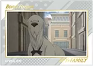 17.ボンド・フォージャー(ノーマル) 「SPY×FAMILY キラステコレクション」