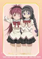 "PUELLA MAGI MADOKA MAGICA Kirasute Collection" by Mihomura Akatsuki and Kyoko Sakura (Normal)