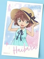 Selo Haibara Ai "Caso Encerrado"