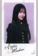 向井純葉(櫻坂46)/何歳の頃に戻りたいのか? ランダムクリアステッカー 「5th TOUR 2025 “Addiction”」