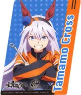 タマモクロス 耐候ステッカー 「ウマ娘 シンデレラグレイ×オートバックス」