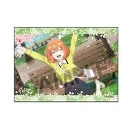 中野四葉 ステッカー vol.4 「五等分の花嫁*」