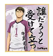 Ushinoshima 若利 "Haikyu! Visual Color Paper Collection 3"