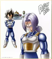 Trunks & Vegeta Colored Paper Color Kore "Ichiban KUJI Dragon Ball vs Existence" D Prize