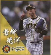 青柳贝晃洋#50迷你色纸迷你色纸奖
