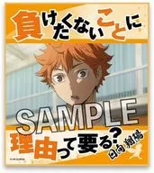 Shōyō Hinata Meigen Shikishi "Haikyu!!!"
