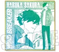 Haruka Sakura "Wind Breaker Trading Colored Paper"