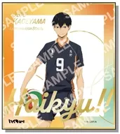 Kageyama Tobio "Haikyu! hot stamping Mini Colored Paper Collection"
