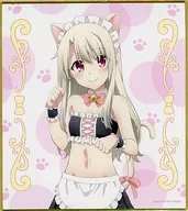 伊利亚斯菲尔・冯・爱因斯贝伦(猫耳女仆ver.)迷你色纸D-10奖