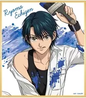 越前リョーマ 「新テニスの王子様 トレーディング色紙 COLORS」