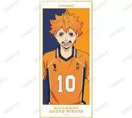 Shōyō Hinata "Haikyu!!! Color paper Second Uniform Ver. with Trading Stand"