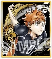 Shōyō Hinata Great Battle! Slightly Shikishi "Haikyu!!!"