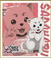 Joshun "GINTAMA Atomatsuri 2023 (tentative) × Karaoke Manekineko Trading Mini Colored Paper"