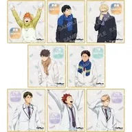Conjunto de 8 tipos "Haikyu!!! Clear Color Paper Collection (A) - The First Time of Weather Rights -"