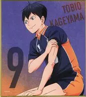 Kageyama Tobio "Gekihen Haikyu!!! Garbage Dump Exhibition Trading Mini Colored Paper"