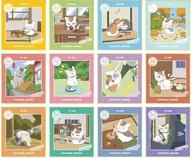 全12種セット 「夏目友人帳 描き下ろしイラスト ニャンコ先生の1日ver. トレーディングミニ色紙」