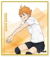 日向翔陽 「ハイキュー!! トレーディングミニ色紙 ～レシーブ～」