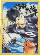 影山飛雄 「ハイキュー!! 激闘!!トレーディングアクリル色紙プレミアム」