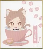 包丁藤四郎 「刀剣乱舞-ONLINE- 刀猫男士×コラボカフェ本舗 『刀猫Cafe』第四弾 色紙」