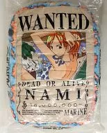 Nami (Written request) Sky Air Cushion Ver. 2 "ONE PIECE"