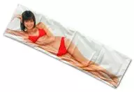 Akina Minami Air idol Cushion