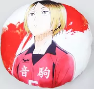 "Ichiban KUJI Haikyu!!! ~ Match Breath ~" I Award for the Solitary Tsume Almohadón "