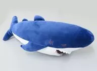 Shark (Zap) Cool Abrasion Makura, M size "Premium Nemming Animals"