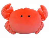 Caranguejo e Fluffy Fluffy "Tsubura no Hitomi Aquarium"