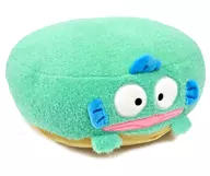 ハンギョドン Donuts "Sanrio Charakyries"