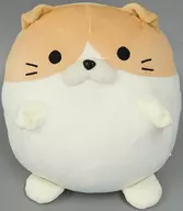 Jackson Sitting Type "Toraneko Summit"