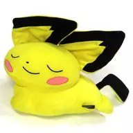 Pichu(睡眠)毛绒玩偶迷你抱枕口袋妖怪中心限定