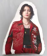 神谷健太(ROWDY SHOGUN≠THE RAMPAGE)模切抱枕