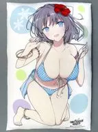 Yaegashi Minami & Yukiizumi Extra Large Almohadón "シノビマスター / Dolphin Wave" HONEY PARADE GAMES 5 th Anniversary Special Campaign Special Campaign