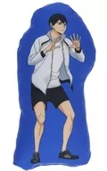 Kageyama Tobio Drawing Die Cut Mini Cushion "Haikyu!!!"
