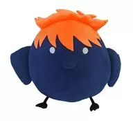 Shōyō Hinata (Hina Glass) Almohadón "Haikyu!!! Meets Palude"